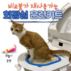 고양이변기-추천-상품