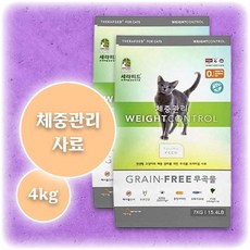 고양이초보집사되기