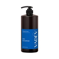 바디브 지성 전용 샴푸 1000ml 비듬 쿨샴푸 쿨링 산성 스칼프 두피 시원한 각질 크리니컬 프레쉬, 1개, 1L