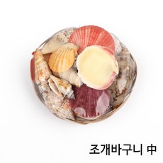 조개바구니 (중/20cm), 1개
