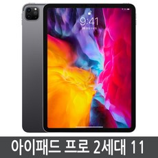 Apple iPad Pro 11 2세대