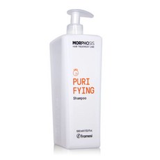 프라메시 모포시스 퓨리파잉 샴푸 오렌지 감귤 1000ml / FRAMESI Morphosis Purifying Shampoo Orange, 단품, 1개