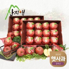 [2023햇사과] 산지애 씻어나온 꿀사과 3kg 2box (중과), 2개