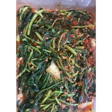도미솔백김치