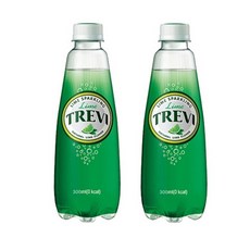 롯데 트레비 플레인 300ml x 40PET (20펫x2박스), 40개