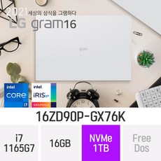 LG 그램16 16ZD90P-GX76K [오피스 증정], 1TB, 윈도우 미포함, 16GB
