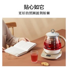 홍삼 기계 추출기 차탕기 건강원 중탕기 전기 미니 약탕기 유리 홍삼 달이는기계 달임 8, 샴페인 골드