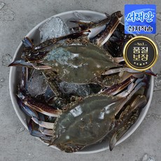 [당일조업] 서해안 제철 활 꽃게 암꽃게 숫꽃게 햇꽃게 생물 냉동, 꽃게 3kg, 1개