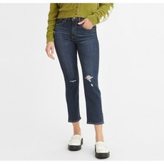 리바이스하이라이즈