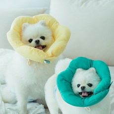 이드몽 강아지 넥카라 고양이 애견 깔대기 목보호대 쿠션 시즌2프라가S, 시즌2)프라가, 소울민트L, 1개