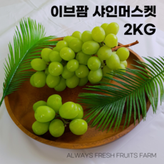 이브팜 고당도 프리미엄 수출용 특등급 AAA 선물용 샤인머스켓 2KG (2-3수)