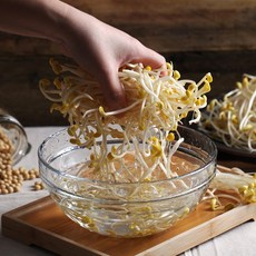 나주 두리 콩나물 1kg 2kg, 1 콩나물 1kg, 상세설명 참조