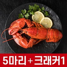 nb랍스터