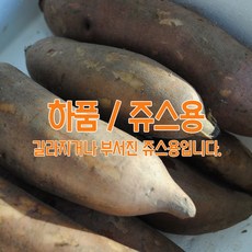 초록사랑 싱싱한 경북야콘 생야콘, 1개, [하품/쥬스용] 10kg