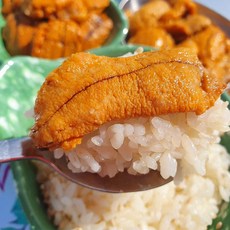 프리미엄 고급 페루산 성게알 우니 100g 성게 성개 알 초밥 싱싱 냉동 급랭 해물 수산