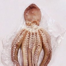 국산 군산 명물 손질 문어, 1개, 국산 손질 문어 1.6kg