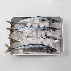 동태간