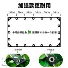 3fc895b4aed059f99be70fcd8b18d741d1973f6192abf9c405ad7fcf5c3d.jpg
