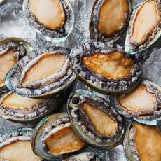 산지직송 완도 활 왕대 전복 1kg(12-13미) 80g내외