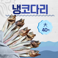 속초 대용량 업소용 냉코다리 13kg