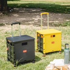 코스트코캐리어