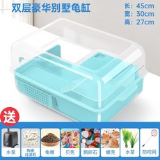 레이저백거북이