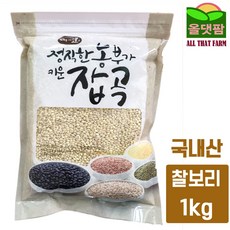 보리소