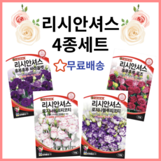 세계종묘 리시안셔스 씨앗 4종 세트 예쁜 고급 꽃씨앗 모음