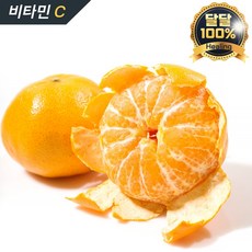 달콤한 제주 천혜향 산지 직송 설 명절 선물세트, 프리미엄 선물세트3kg, 1박스, 소과