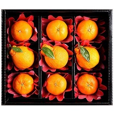 제주천혜향선물세트2호