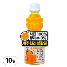 제주엔 한라봉 100% 착즙 감귤주스, 10병, 330ml