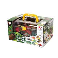 곤충카드