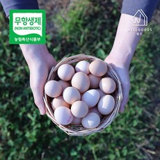 산청계란