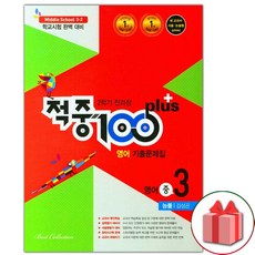 적중100플러스영어중3-2김성곤