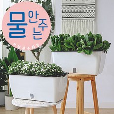 상추 키우기 저면관수 방울 채소 재배 화분 베란다 텃밭 아파트 쌈 자동급수 집에서 가드닝