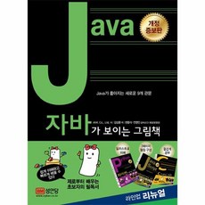 JAVA가 보이는 그림책 개정증보판, 상품명