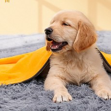 프로엔터 반려동물 목욕 목욕흡수수건 속건욕타올 초강력흡수 극세사 펫타월, 1개