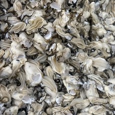 국산 경상남도 통영 깐 생굴 1kg 각굴 석화 생산자직판 굴, 1박스, 석화(찜,구이) 5kg