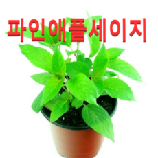 //상품명
