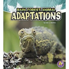 (영문도서) Rain Forest Animal Adaptations Hardcover, Capstone Press, English, 9781429660280
