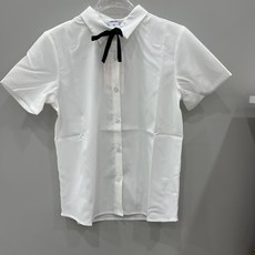 애플핑크블라우스