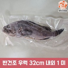 삼천포 국내산 남해안 반건조우럭 손질 반건조 우럭 32cm 내외 1미, 1세트, 1마리