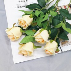 ac27281dc0a0354a852cfa05af1cd8d76484a4a36bb5484b22e4c8ce5718.jpg