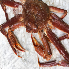 블루킹크랩5kg
