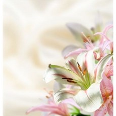 릴리오브더벨리 (Lily of the Valley F.O)프래그런스오일, 10ml, 1개