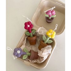 강남캔들원데이