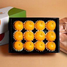 린디 고당도 천혜향 GAP AI당도선별 제주 만감 2KG 3KG 5KG 9KG 선물세트, 1박스, 올레길 천혜향=선물세트, 중량=5kg중과(19~23입)