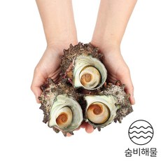 거문도뿔소라