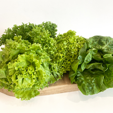 샐러드용채소