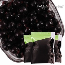 냉동레드커런트